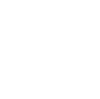 instagram icon footer